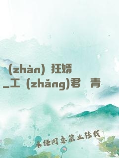 戰(zhàn)龍狂婿